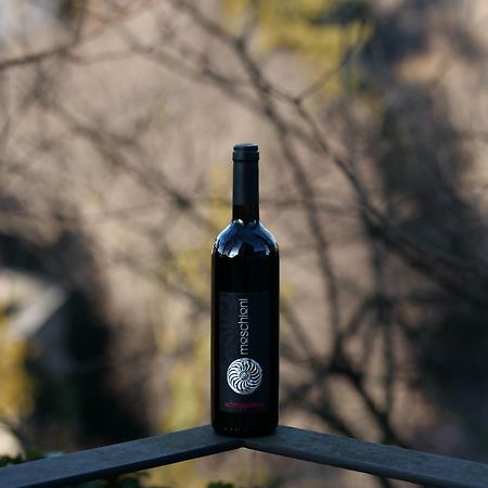 Azienda Agricola Moschioni Cividale del Friuli Eksteriør bilde